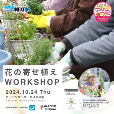 寄せ植え　花■みつばちと花畑 寄せ植え 花□みつばちと花畑 【公式通販】